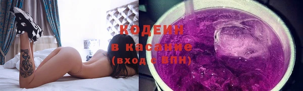 дурь Гусев