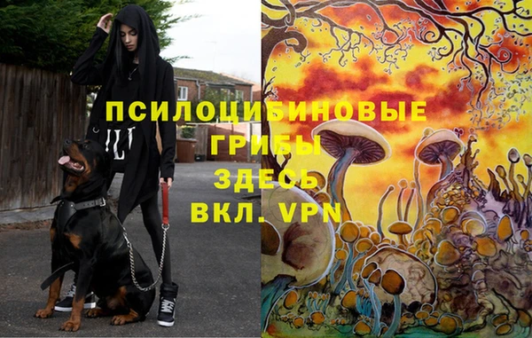 бошки Протвино