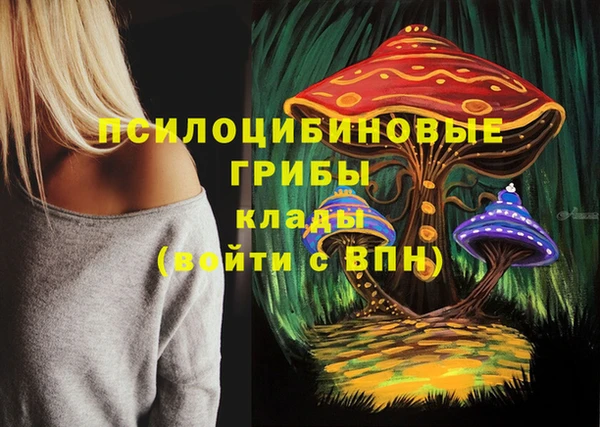 бошки Протвино